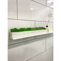 Бетонное кашпо белое со стабилизированным мхом SO Green 50 х 5см  00121